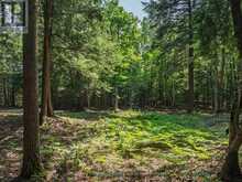 0 SOYERS LAKE ROAD | Haliburton Ontario | Slide Image Eight