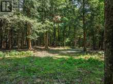 0 SOYERS LAKE ROAD | Haliburton Ontario | Slide Image Nine