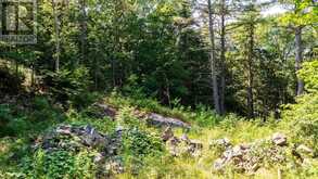 12 PERRAULTS BAY ROAD | Parry Sound Ontario | Slide Image Twenty-one