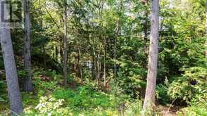 12 PERRAULTS BAY ROAD | Parry Sound Ontario | Slide Image Twenty-two