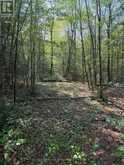 0 STONEY ROAD | Magnetawan Ontario | Slide Image Four