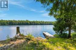 24 SOUTH CRANE LAKE ROAD | The Archipelago Ontario | Slide Image Ten
