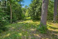 24 SOUTH CRANE LAKE ROAD | The Archipelago Ontario | Slide Image Thirty-two