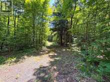 17 WHITE BEAVER TRAIL | McDougall Ontario | Slide Image Two