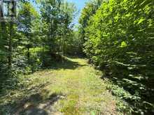 17 WHITE BEAVER TRAIL | McDougall Ontario | Slide Image Three
