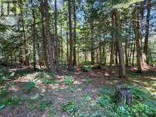 17 WHITE BEAVER TRAIL | McDougall Ontario | Slide Image Six