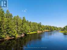 699 SOUTH MARY LAKE ROAD | Huntsville Ontario | Slide Image Thirty-eight