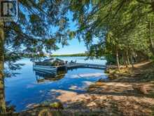 20 MACBETH ISLAND | Bracebridge Ontario | Slide Image Seven