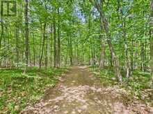 000 SOUTH LAKE ROAD | Minden Hills Ontario | Slide Image Sixteen