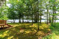 UNIT 1 - 2871 MUSKOKA ROAD 169 ROAD | Bala Ontario | Slide Image Thirty-seven