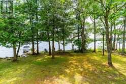 UNIT 1 - 2871 MUSKOKA ROAD 169 ROAD | Bala Ontario | Slide Image Forty