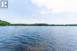 UNIT 1 - 2871 MUSKOKA ROAD 169 ROAD | Bala Ontario | Slide Image Forty-seven