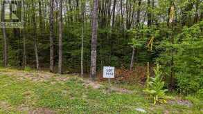 LOT 11 MILLIE'S WAY | Magnetawan Ontario | Slide Image One