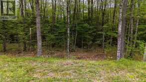 LOT 11 MILLIE'S WAY | Magnetawan Ontario | Slide Image Four