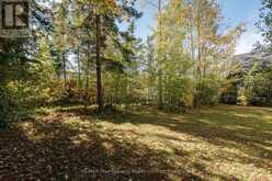 64 60TH STREET N | Wasaga Beach Ontario | Slide Image Five