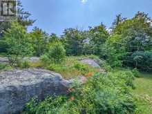 1314 WINHARA ROAD | Gravenhurst Ontario | Slide Image Two