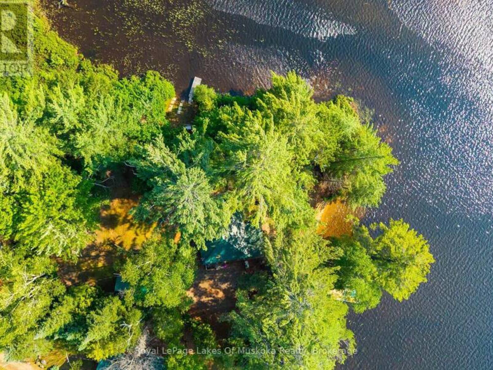1015 GOODLIFE LANE, Lake of Bays, Ontario P0A 1E0