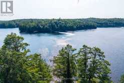 1015 GOODLIFE LANE | Lake of Bays Ontario | Slide Image Forty-five