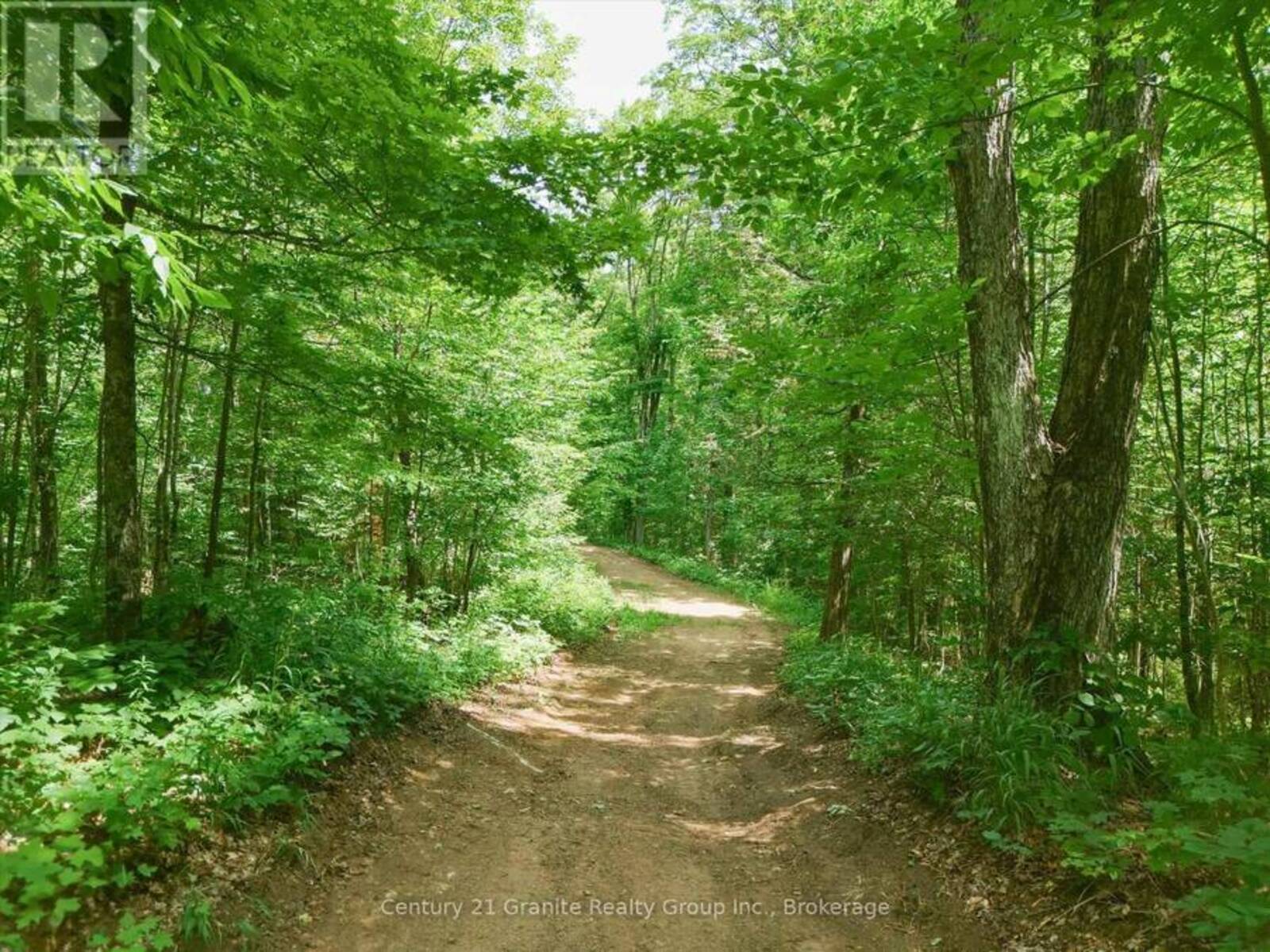 1230 OLD DONALD ROAD, Haliburton, Ontario K0M 1S0