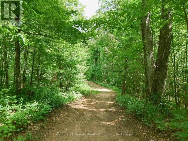 1230 OLD DONALD ROAD Haliburton Ontario, K0M 1S0 - Vacant Land For Sale