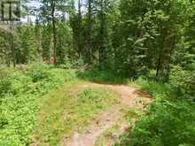 1230 OLD DONALD ROAD | Haliburton Ontario | Slide Image Ten