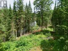 1230 OLD DONALD ROAD | Haliburton Ontario | Slide Image Twelve
