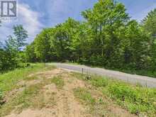 1230 OLD DONALD ROAD | Haliburton Ontario | Slide Image Fifteen