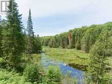 1230 OLD DONALD ROAD | Haliburton Ontario | Slide Image Eighteen