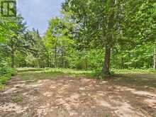 1230 OLD DONALD ROAD | Haliburton Ontario | Slide Image Two