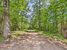 1230 OLD DONALD ROAD | Haliburton Ontario | Slide Image Five
