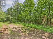 1230 OLD DONALD ROAD | Haliburton Ontario | Slide Image Six