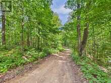 1230 OLD DONALD ROAD | Haliburton Ontario | Slide Image Seven