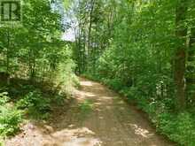 1230 OLD DONALD ROAD | Haliburton Ontario | Slide Image Eight