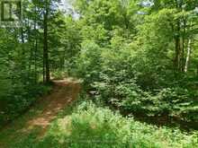 1230 OLD DONALD ROAD | Haliburton Ontario | Slide Image Nine