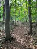 99 FOREST VIEW ROAD | Bancroft Ontario | Slide Image Twelve