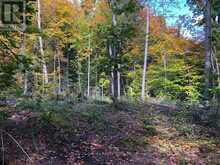 99 FOREST VIEW ROAD | Bancroft Ontario | Slide Image Fifteen