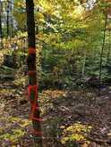 99 FOREST VIEW ROAD | Bancroft Ontario | Slide Image Sixteen