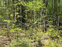 99 FOREST VIEW ROAD | Bancroft Ontario | Slide Image Eighteen
