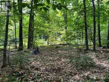 99 FOREST VIEW ROAD | Bancroft Ontario | Slide Image One
