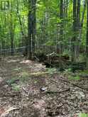 99 FOREST VIEW ROAD | Bancroft Ontario | Slide Image Seven