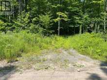 99 FOREST VIEW ROAD | Bancroft Ontario | Slide Image Twenty-two