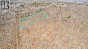 99 FOREST VIEW ROAD | Bancroft Ontario | Slide Image Three