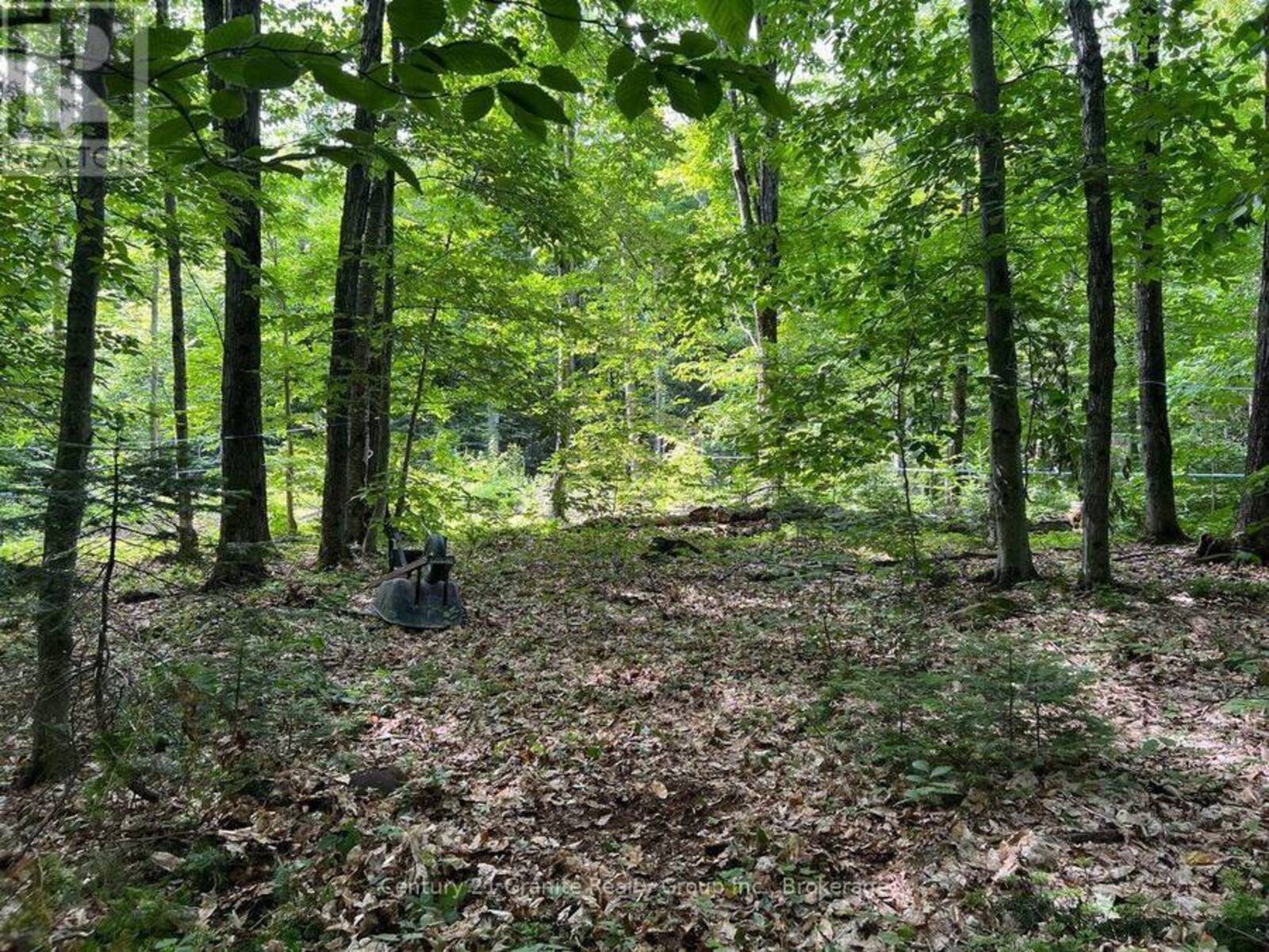 99 FOREST VIEW ROAD, Bancroft, Ontario K0L 1C0