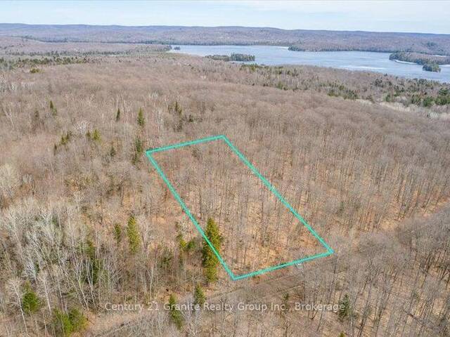 99 FOREST VIEW ROAD Bancroft Ontario, K0L 1C0 - Vacant Land For Sale