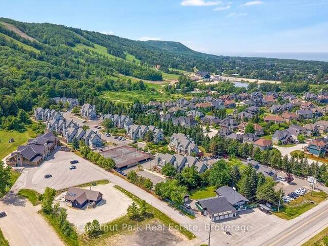 306 - 796468 GREY ROAD 19 The Blue Mountains Ontario, L9Y 0N6 - 1 Bedroom Condo For Sale