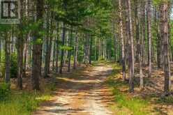 165 JAMES CAMP ROAD | Magnetawan Ontario | Slide Image Forty-six