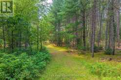 165 JAMES CAMP ROAD | Magnetawan Ontario | Slide Image Forty-seven