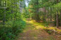 165 JAMES CAMP ROAD | Magnetawan Ontario | Slide Image Forty-eight
