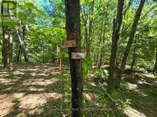 165 JAMES CAMP ROAD | Magnetawan Ontario | Slide Image Forty-nine