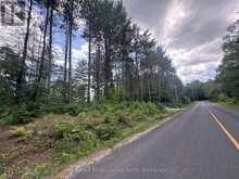 1075 KUSHOG LAKE ROAD | Minden Hills Ontario | Slide Image Seventeen